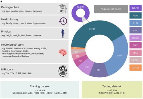 人工智能軟件助力失智癥診斷 精準(zhǔn)快速的新希望